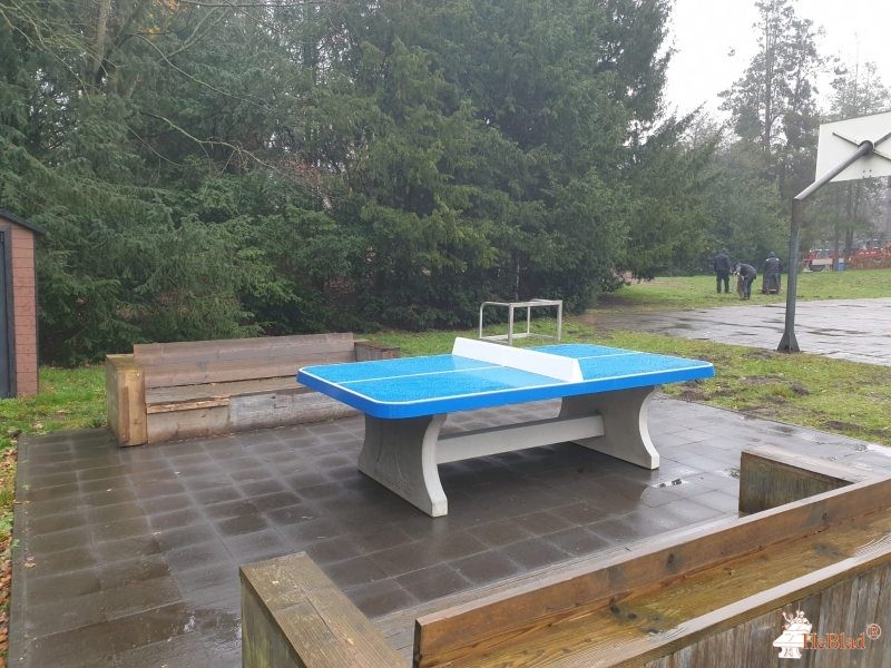 Internaat Heidehof uit Kapellen