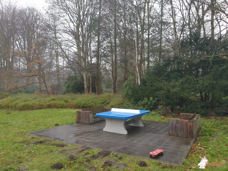 Internaat Heidehof uit Kapellen
