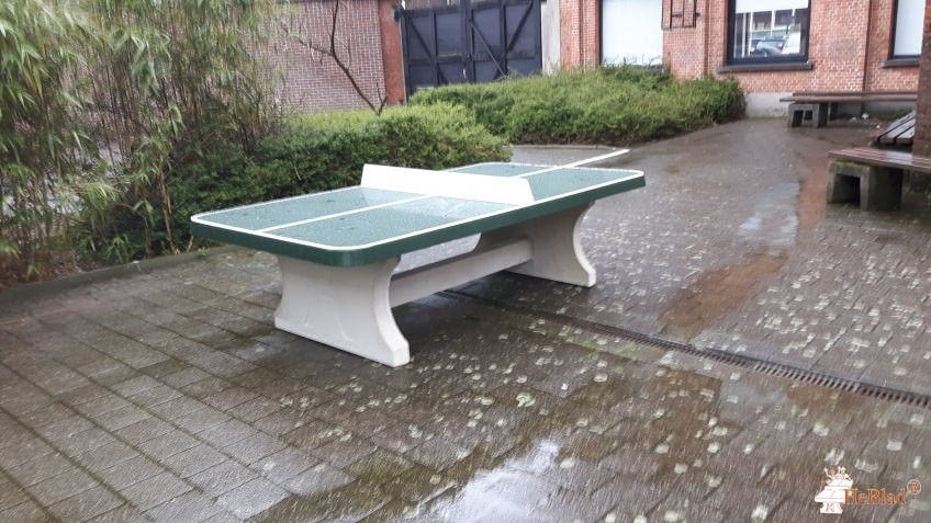 Sint-Eduardusinstituut uit Merksem