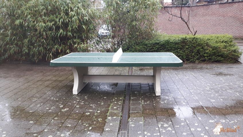 Sint-Eduardusinstituut uit Merksem