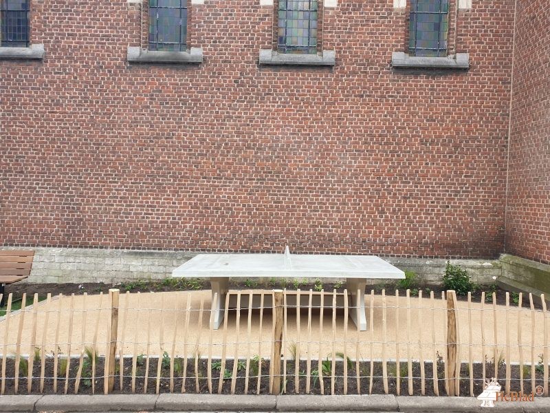 Buurtplantsoen Kerkstraat Kessel-Lo (naast H.Hartkerk) uit Kessel-Lo Leuven
