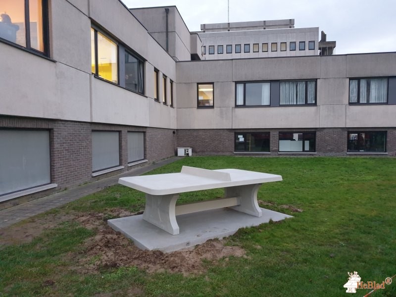 BuSo De Pinker - 3weg uit Poperinge