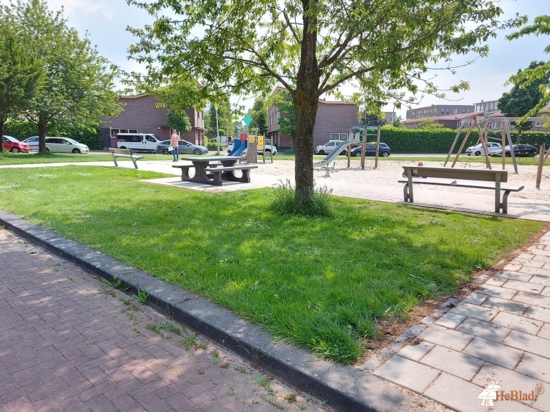 Gemeente Zwolle uit Zwolle