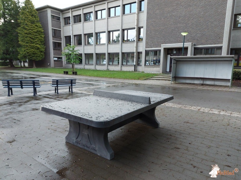 Atheneum Schilde uit Schoten