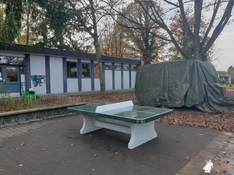 GO! Freinetschool De Speelplaneet uit Gijzegem