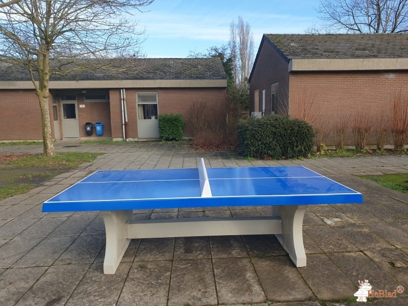 Sport Vlaanderen Willebroek uit Willebroek