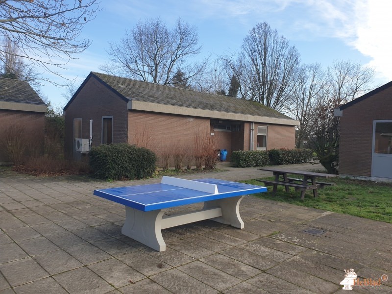 Sport Vlaanderen Willebroek uit Willebroek