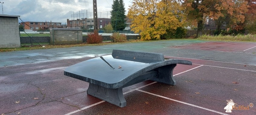 sportplein Runkst uit Hasselt