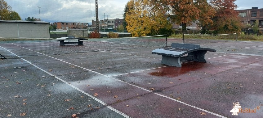 sportplein Runkst uit Hasselt