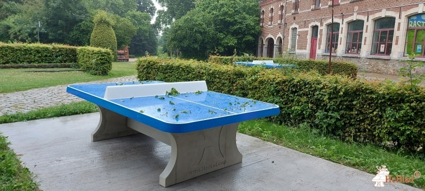 Kasteeldomein Halle uit Halle