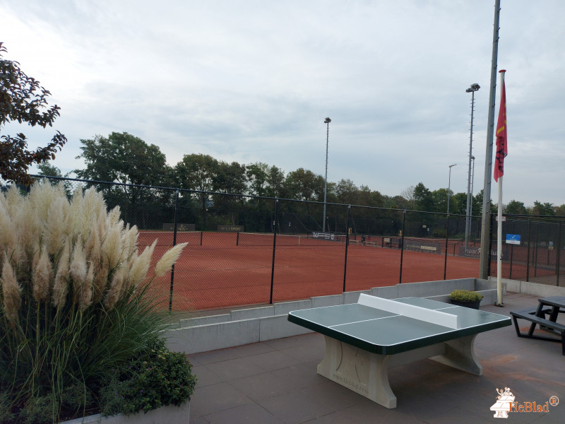 Sassenheimse Tennis Vereniging STV uit Sassenheim