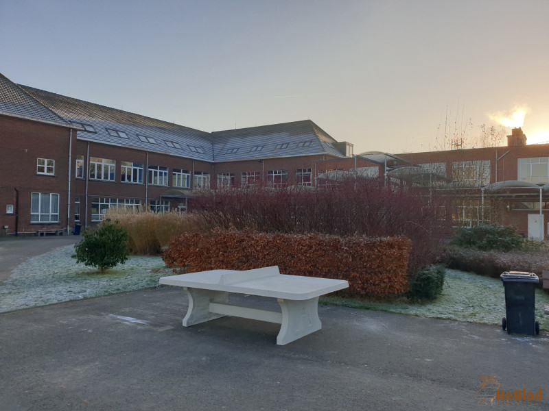 College Hagelstein uit Sint-Katelijne-Waver