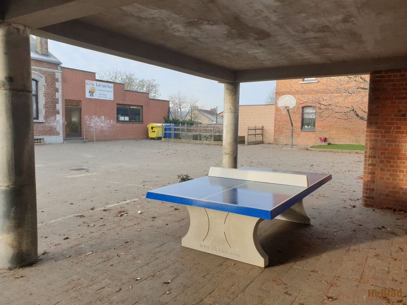 Ecole Sainte Thérèse de Biesme uit Biesme (Mettet)