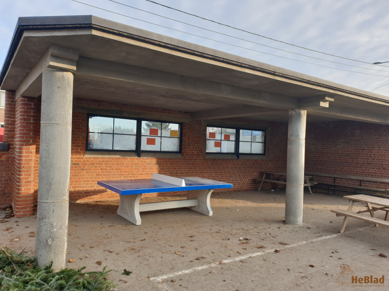 Ecole Sainte Thérèse de Biesme uit Biesme (Mettet)