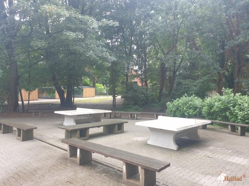 Atheneum de Vesten uit Herentals