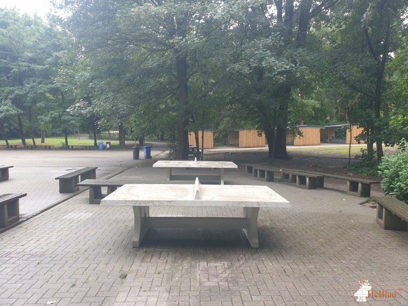 Atheneum de Vesten uit Herentals