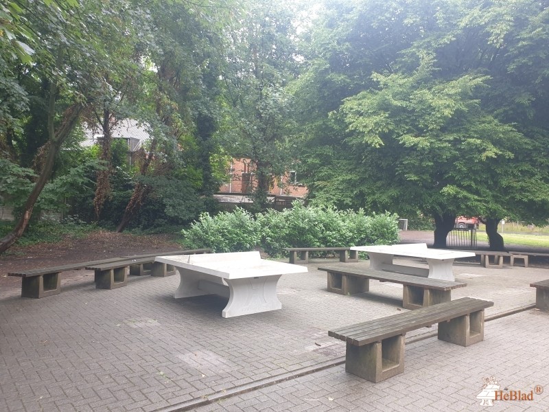 Atheneum de Vesten uit Herentals