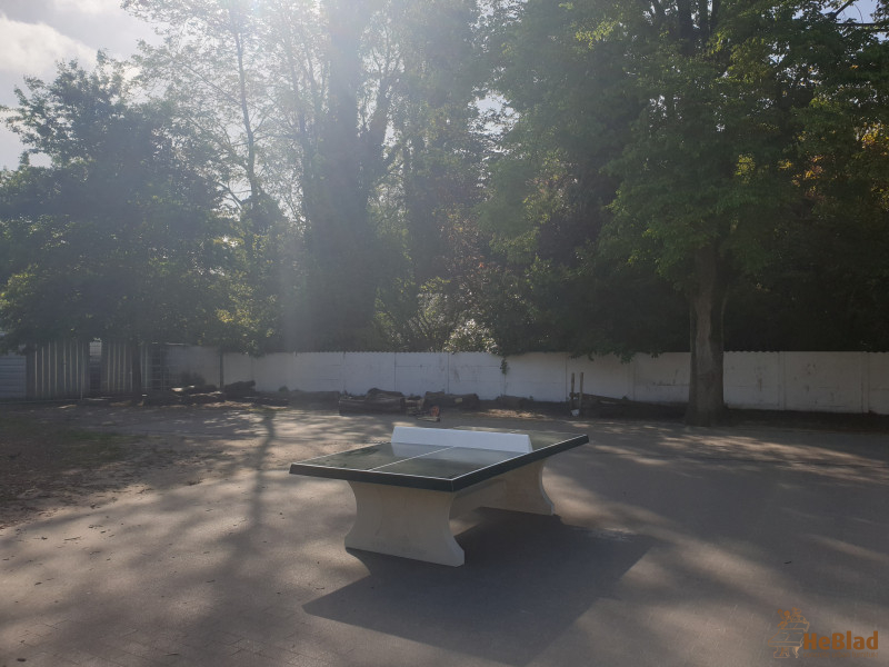 Daltonschool De Lotus uit Gent