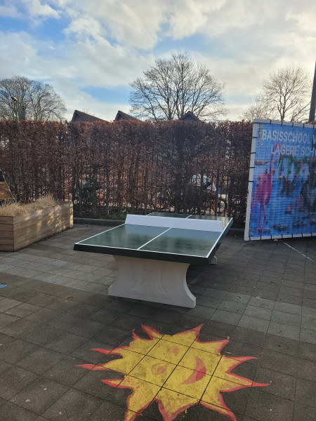 Heilig Hart College uit Halle