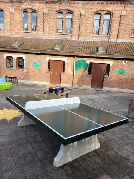 Heilig Hart College uit Halle