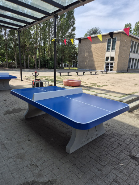 School De Dobbelsteen uit Antwerpen