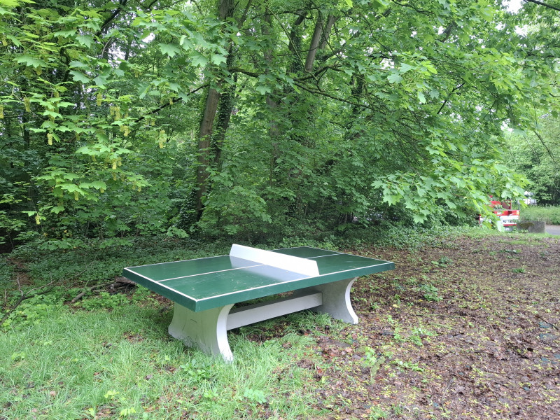 Project Renoir uit Evere