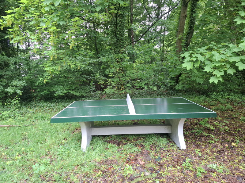 Project Renoir uit Evere