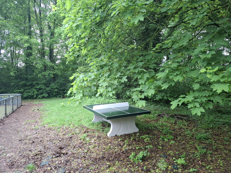 Project Renoir uit Evere