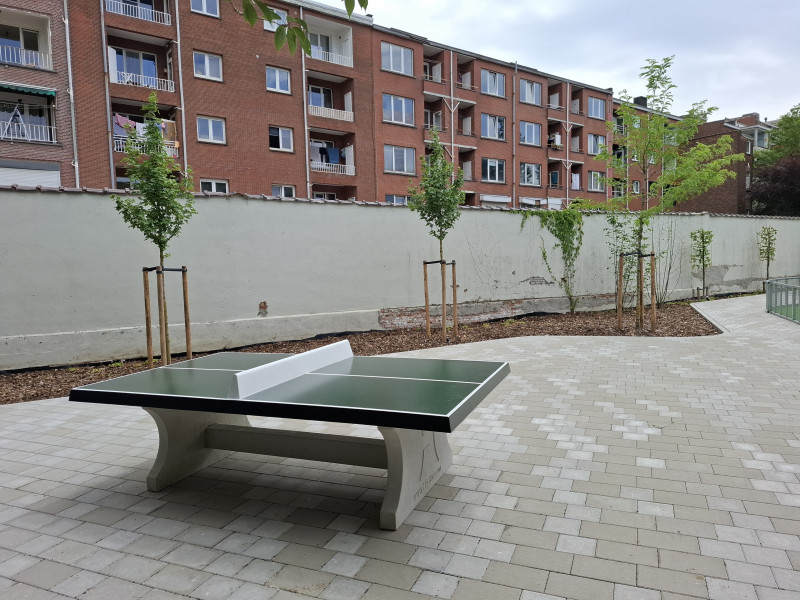 Basisschool Domino uit Wilrijk
