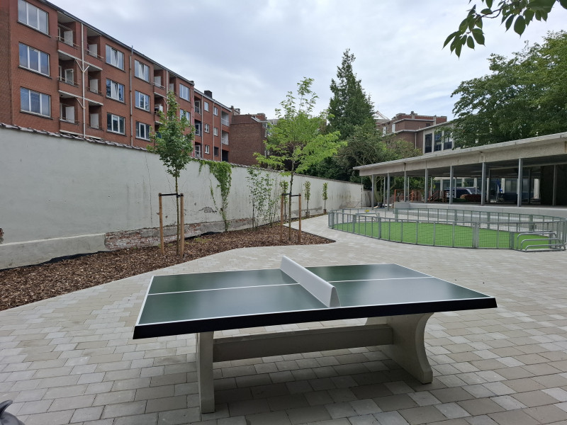 Basisschool Domino uit Wilrijk