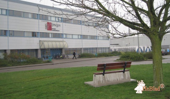 Banc DeLuxe en béton avec plaque de fond et dossier