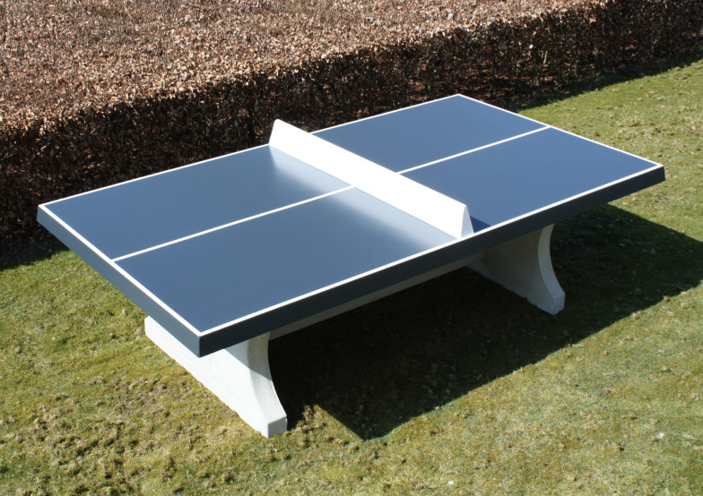 Table de ping-pong antracite