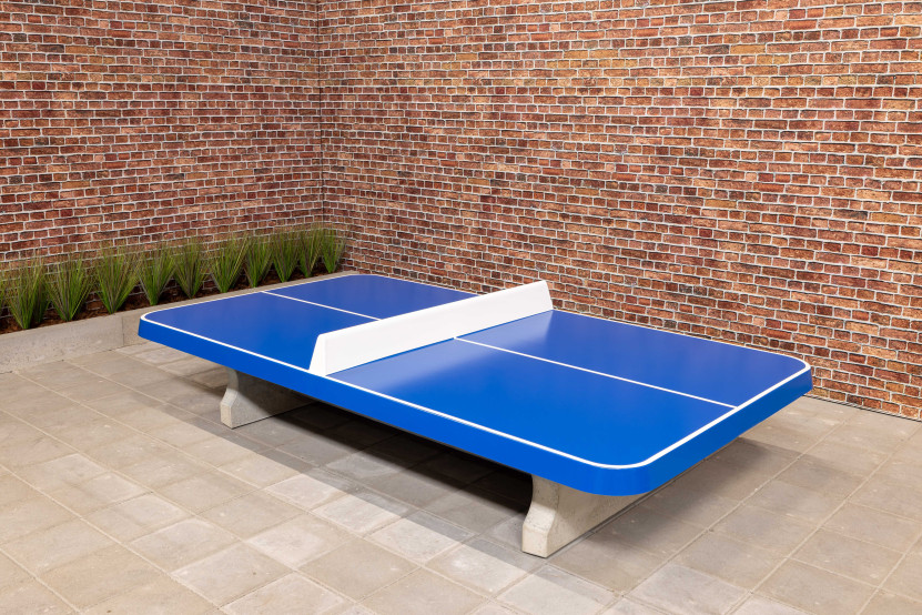 Table de ping pong basse