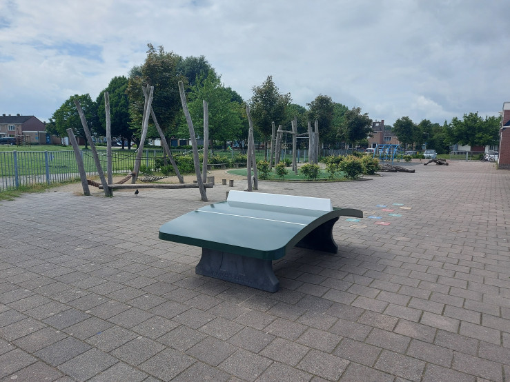 Table de footvolley Verte