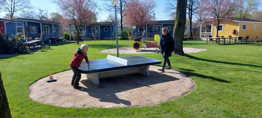 Table de ping pong basse vert, angles arrondis