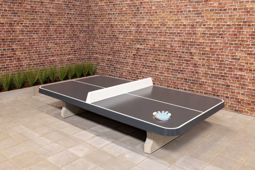 Table de ping pong basse anthracite, angles arrondis