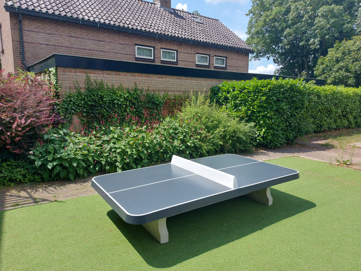 Table de ping pong basse anthracite, angles arrondis