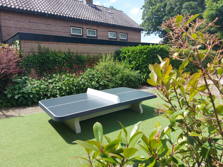 Table de ping pong basse anthracite, angles arrondis