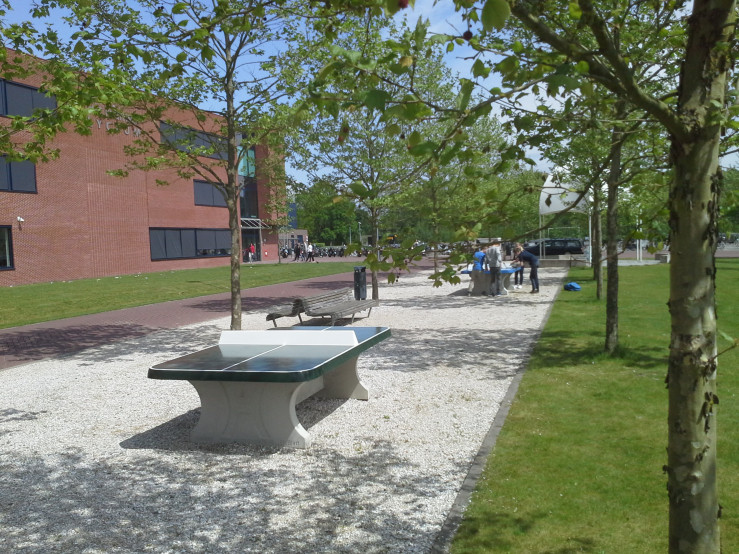 Table de ping-pong verte, angles arrondis