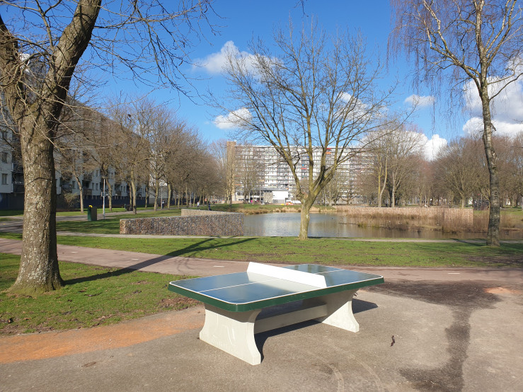 Table de ping-pong verte, angles arrondies
