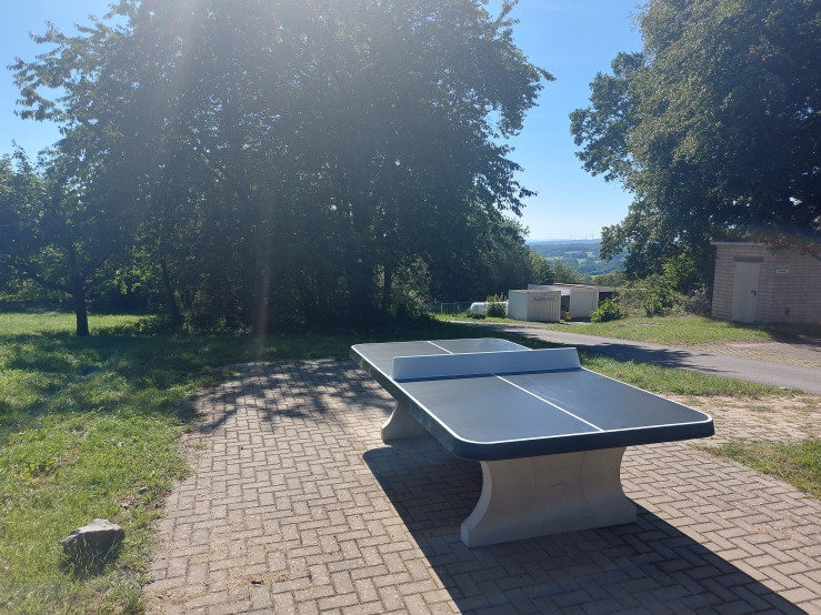 Table de ping-pong anthracite, angles arrondies