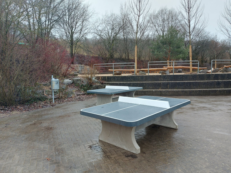 Table de ping-pong anthracite, angles arrondies