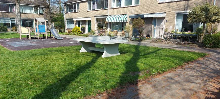 Table de ping-pong en béton naturel arrondie