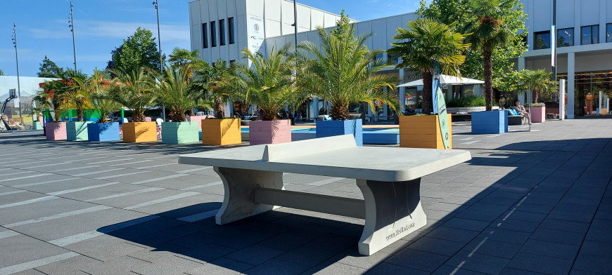 Table de ping-pong en béton naturel arrondie