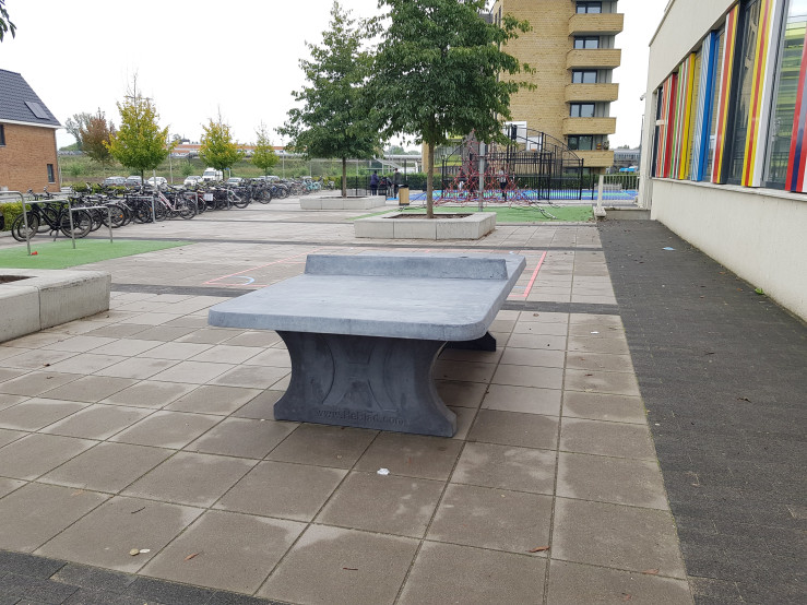 Table de ping-pong béton anthracite arrondie