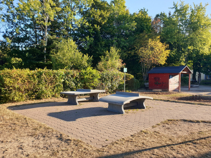 Table de ping-pong béton anthracite arrondie
