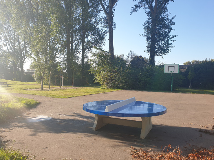 Table de ping-pong bleue ronde