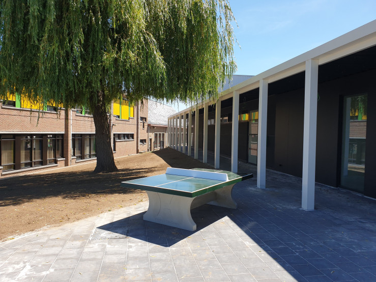 Table de ping-pong verte