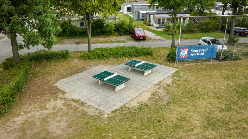 Table de ping-pong verte