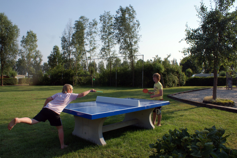 Table de ping-pong bleue
